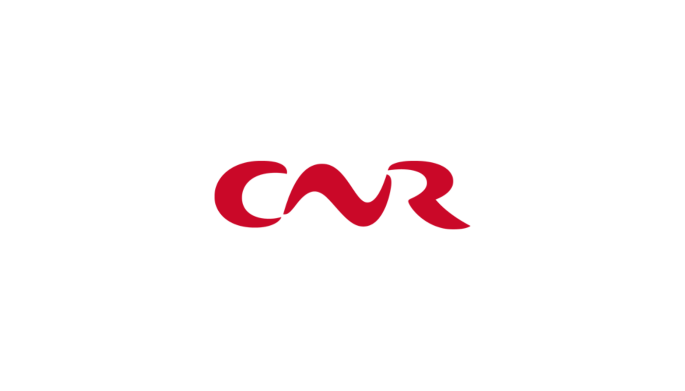 Stratégie carbone